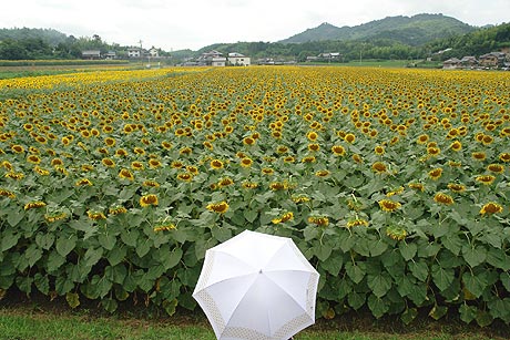 　カメラ目線