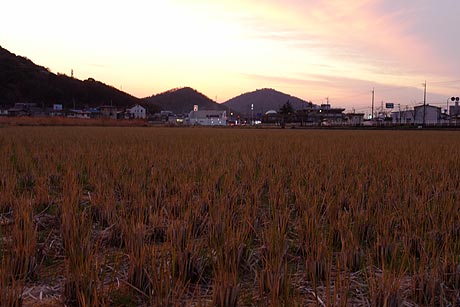 　あしたは晴れ