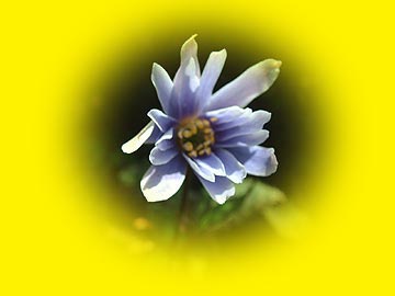 ３月・・春です