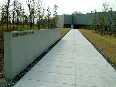 ”白い馬　”