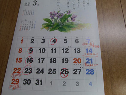 桜の開花予報