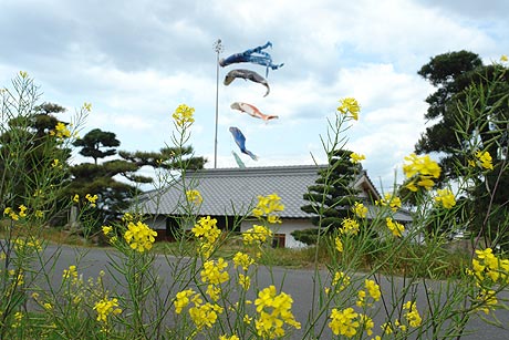 5月5日