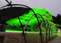 夜の公園散歩