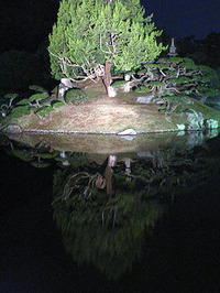 夜の公園散歩