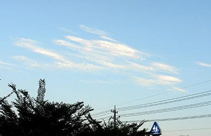 ”　立秋　”