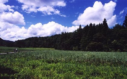 　”　夏雲　”