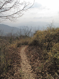 山は山