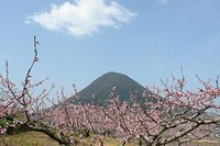 飯野山
