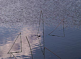 ”　石の様　”