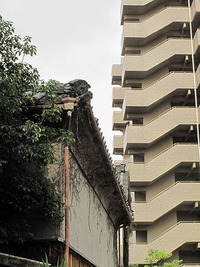 　路地　梅雨晴れ間