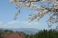春風に　・・