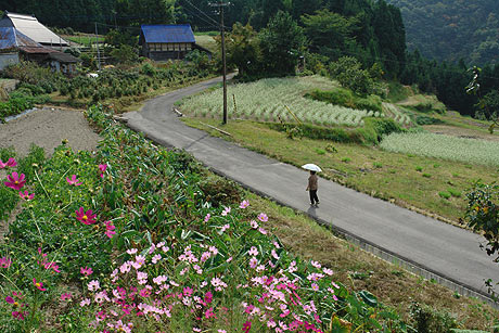 ”　ソバの花　”