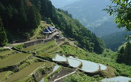 山里では・・・
