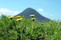 飯野山