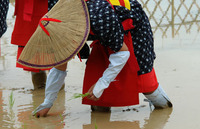 お田植祭