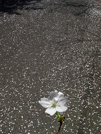 雨の中