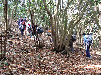 ”　冬の登山道　”