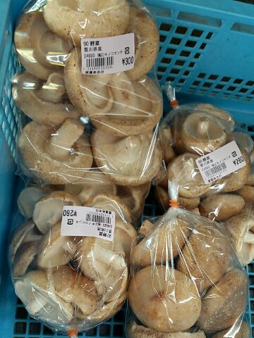 産直あさの ～ 文化祭