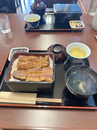 うな重