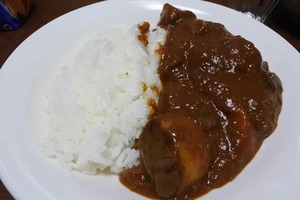 今日のカレーの1。