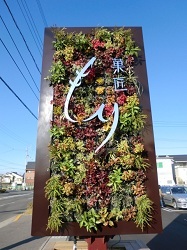 もりん☆