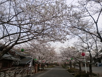 公渕公園☆☆