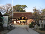 今年初めてのロハス言葉！