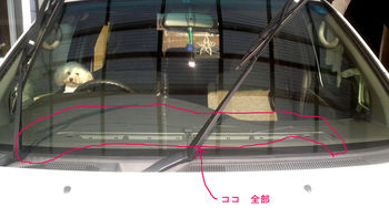 ちなみに・・・