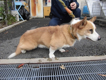 お迎えを待っています。