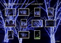 冬の夜空に灯る、青と白の風物詩