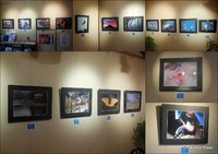 ＮＴＴ‐ＯＢＧ Ｐｈｏｔｏ Ｃｌｕｂ ｖｏｌ.２３