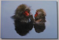 初出展、心温まる作品が並ぶ