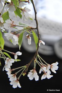写遊会・彩｜四季の風景を見つけた