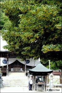 開店７周年写真展 Ｐａｒｔ１｜風景写真で愛でる