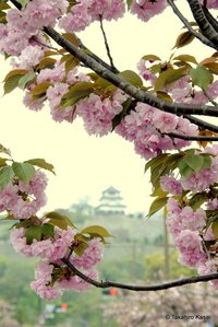 最強の企業系写真サークル