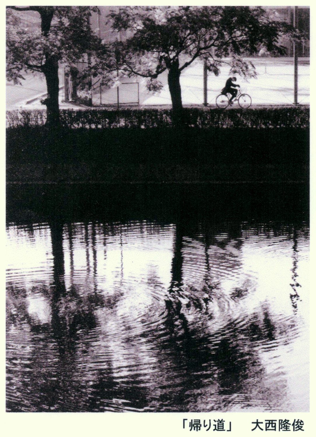 平成２７年２月｜ゆうなぎ・萌 合同写真展（丸亀市生涯学習センター）