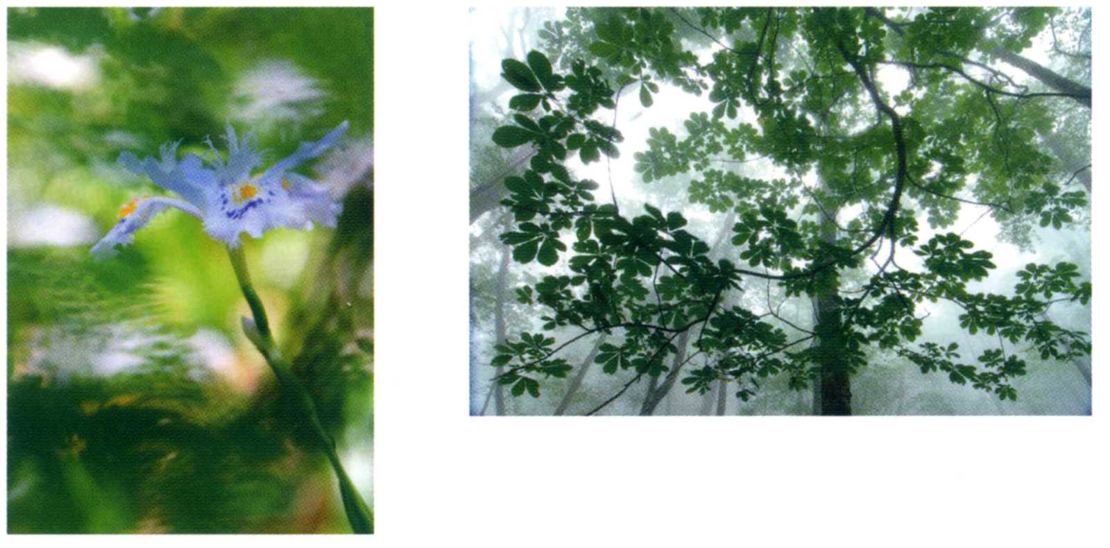 平成２５年８月｜飯間裕司・由香里夫婦展