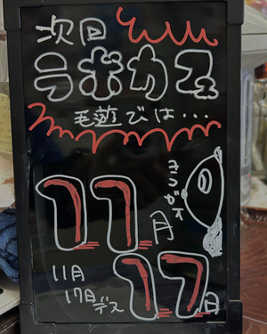 ラボカフェ毛遊び次回は 11月17日開催