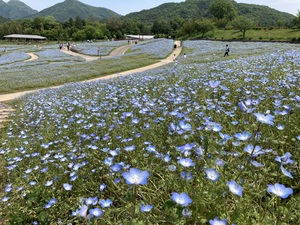 まんのう公園〜旧南原邸！