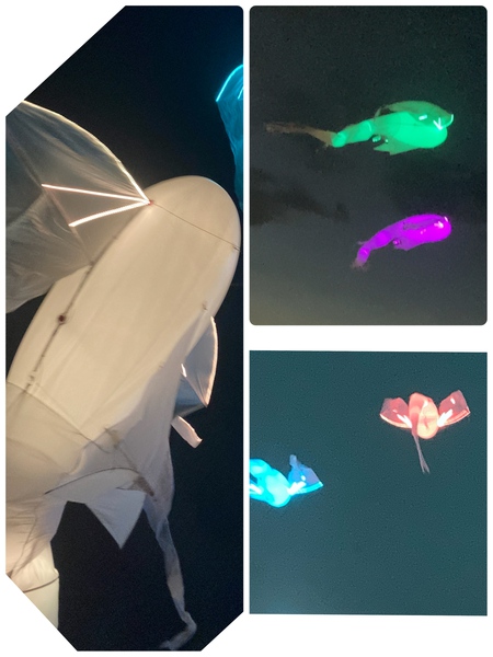 真夏の夜の夢☆サンポート！！