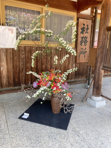 岩田神社☆藤まつり！！
