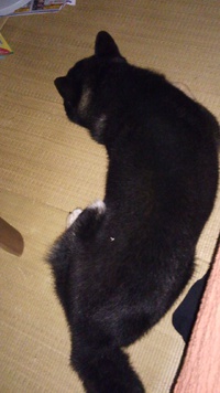 雷こわーい！