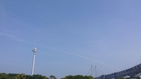 11年…