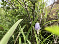 6年と１月ちょっとぶりです。