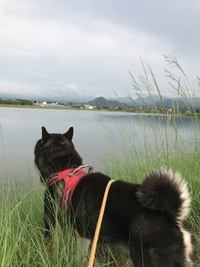 雨あがりの散歩