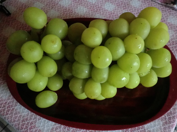 　　　  頂きもの・・・・・