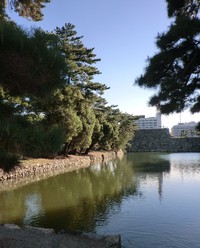 　　 菊花展・・・・・・・
