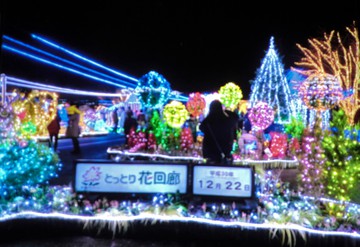 　　　　イルミネーション・・・・・鳥取