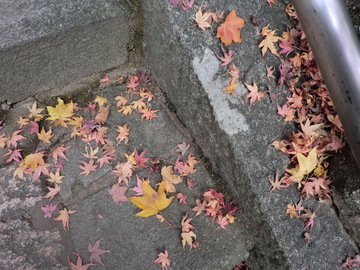 大窪寺・・・・・