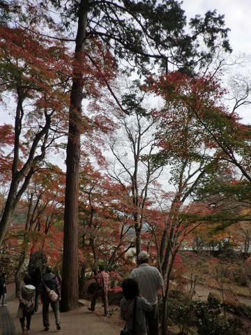 大窪寺の紅葉part2・・・・